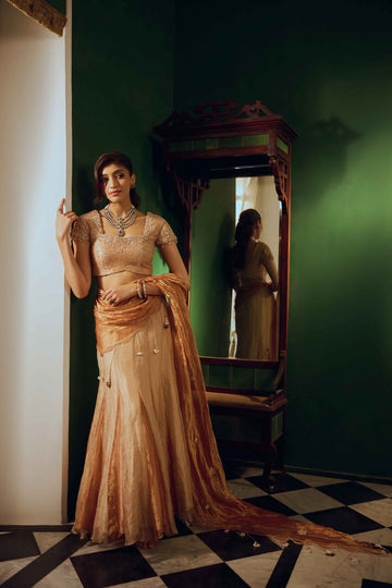 Elina Orange & Beige Saree